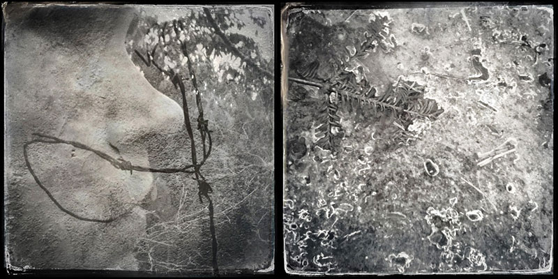 Greg barb icc fir by Mary Dobbin