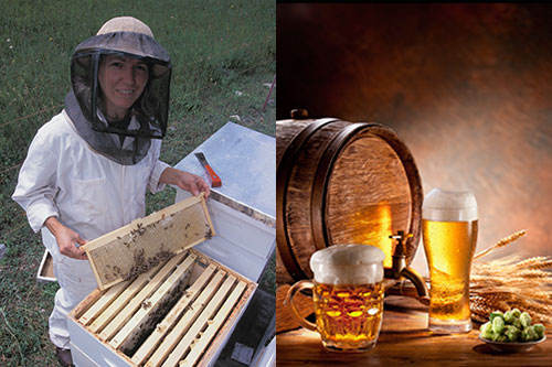 Beekeeper working a hive of bees