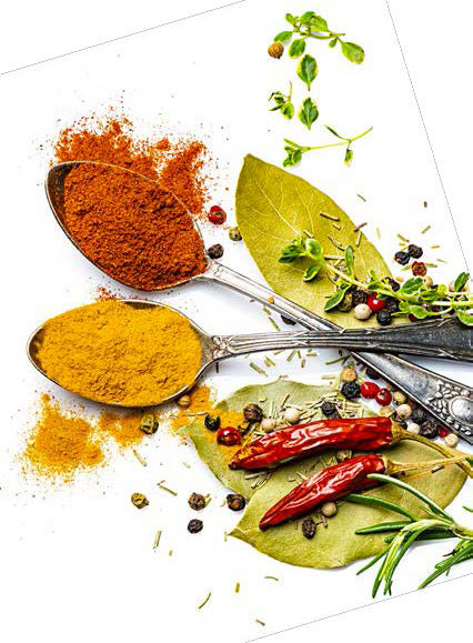 Writer Virginia Willis