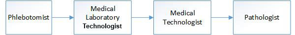 Phlebotomist > Medical Laboratory Assistant > 
                        Medical Technologist > Pathologist
